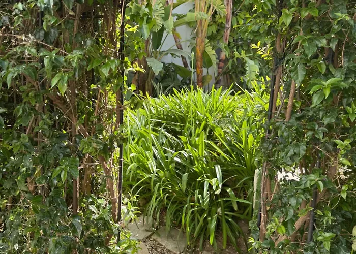 Luxe In De Cortesin D38 Apartamento